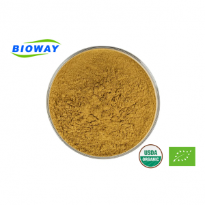 Kinesisk urteportulak ekstrakt pulver