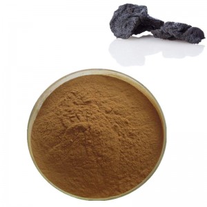I-Rehmannia Glutinosa Root Extract Powder elungisiwe