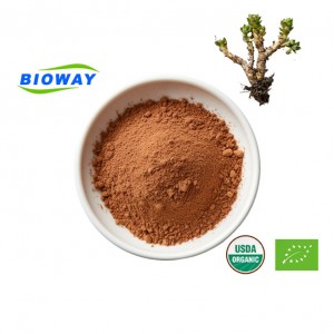 I-Rhodiola Rosea Extract Powder