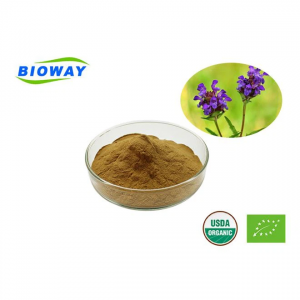 Salvia Folia Proporcio Ekstrakta Pulvoro