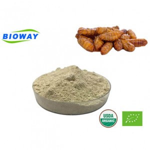 Pure Silkworm Pupa Peptide Powder