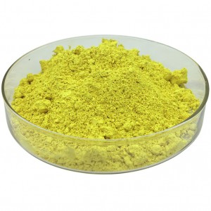 Sophora Japonica Bud Extract Powder