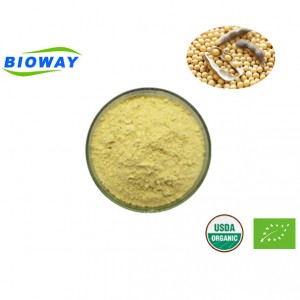 Soy Bean Extract Pure Genistein Powder