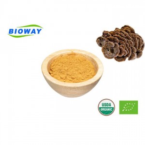 I-Turkey Tail Mushroom Extract Powder