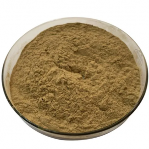 Kasagaran nga Verbena Extract Powder