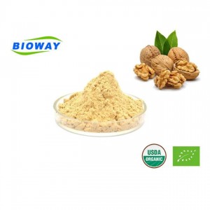 Low Pesticide Walnut Protein Powder
