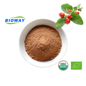 Withania Somnifera Root Extract