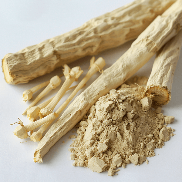 astragalus_root_with_astragalus_root_extract1