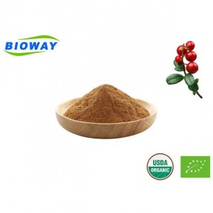 Ufa wapamwamba kwambiri wa Bearberry Leaf Extract powder