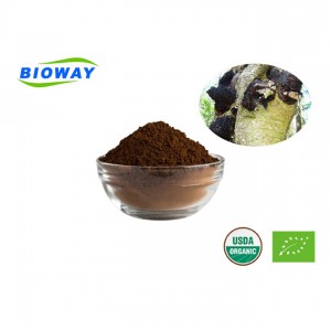 Bio-Chaga-Extrakt mit mindestens 10 % Polysacchariden