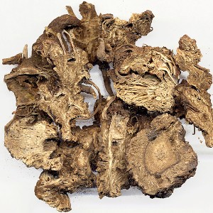 Szechuan Lovage Root Extract