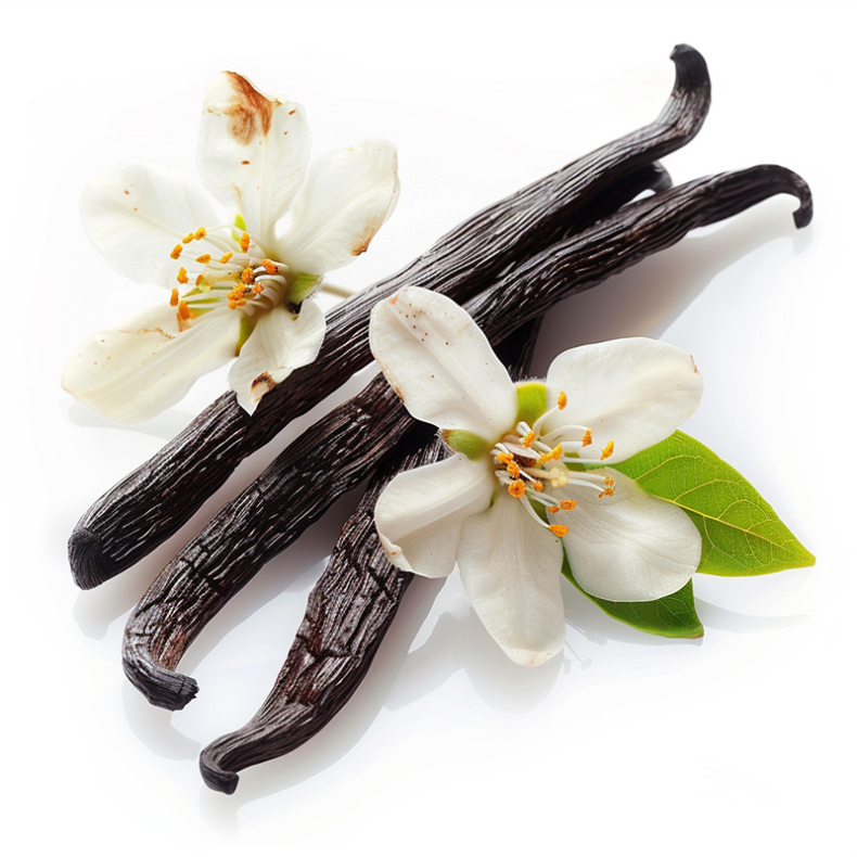 Natural Vanillin Production From Renewable Resources