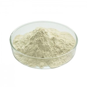 Ampas Pestisida Oat Beta-Glucan Powder
