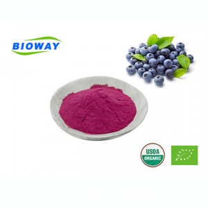 100% Cold Pressed Organic Blueberry Juice Powder