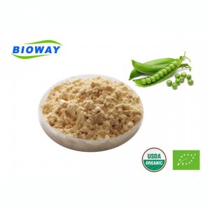 90% High-Content Vegan Organic Pea Protein Powder
