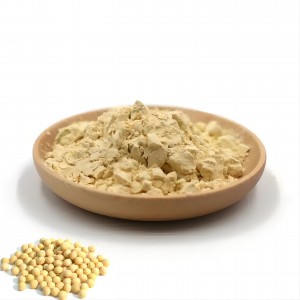 Organic Soy Protein Concentrate