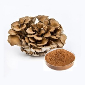 Organic  Maitake Mushroom  Extract Powder with 10%-50% Polysaccharide