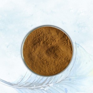 Bio-Astragaluswurzelextrakt mit 20 % Polysacchariden