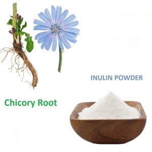 Chicory Extract የኢኑሊን ዱቄት