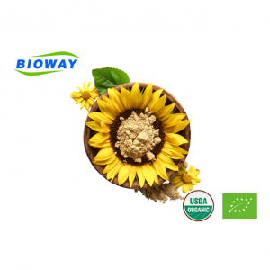 Sunflower Disc Extract Alkaloid Powder