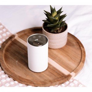 Waterless Aroma Diffuser with car BZ-2311B