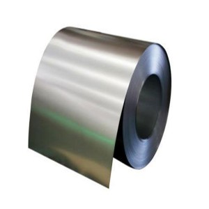309S STAINLESS STEEL STRIP