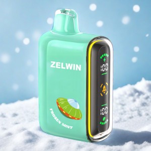 Zelwin Pulse Vape 15000 Puffs Disposable Vape vs GEEK BAR Pulse OEM