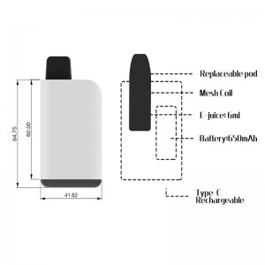 Best Pod Vape 2000 Puffs Disposable Vape 2% or 5% Salt Nic Ejuice Pod with Rechargeable Vape Device
