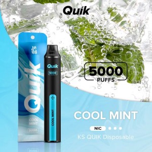 Ks Quik 5000 Puffs Disposable Pod OEM ODM Wholesale