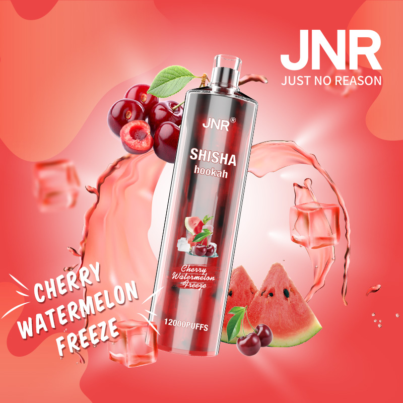JNR SHISHA Hookah: Unleash the Ultimate Vaping Experience with Long-lasting Rechargeable Vapor