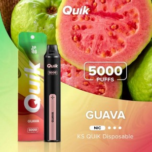 KS Quik 5000 Puffs Disposable Vape 3% Salt Nicotine OEM ODM