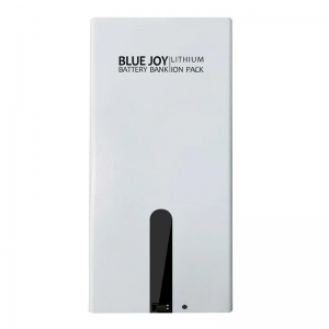 Wholesale 48v Battery Pack Suppliers –  BJ48-200 LITHIUM ION BATTERY BANK  – Blue Joy