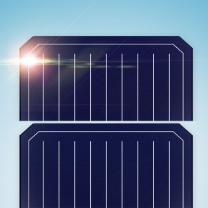 Trina Solar Panel FRAMED 144 HALF-CELL MODULE