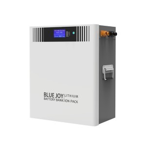 DJ48-100 Lithium Iron Phosphate Battery Bank
