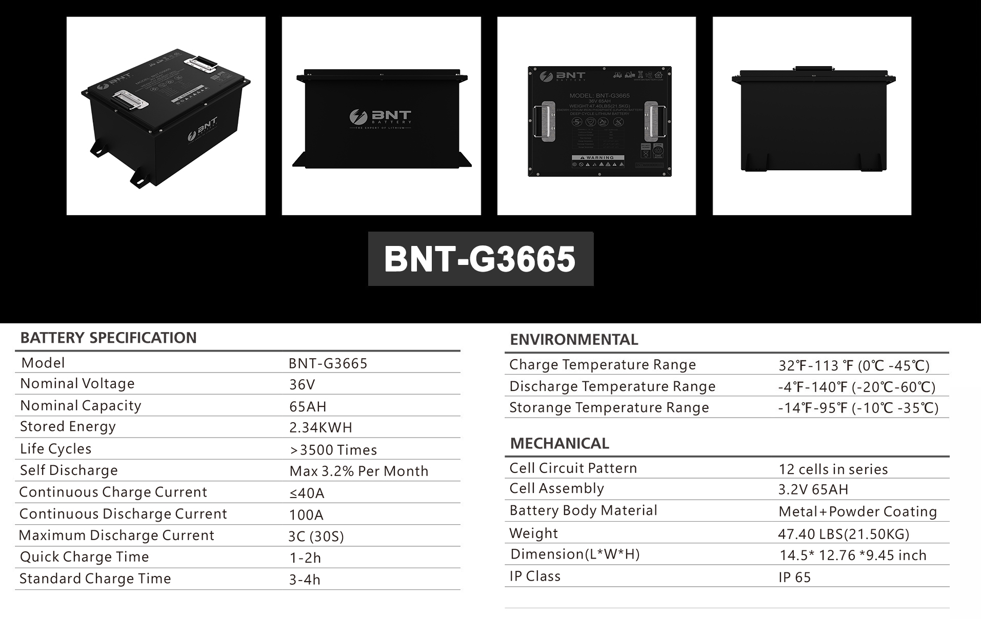 BNT 36V 65AH specifications
