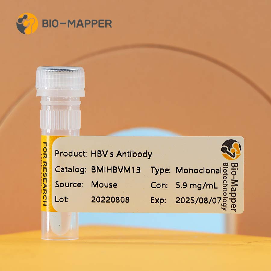 CE Certification Hiv/Tp Antibody Trilines Lines Test Kit Factory - HBV(CMIA) – Bio-mapper