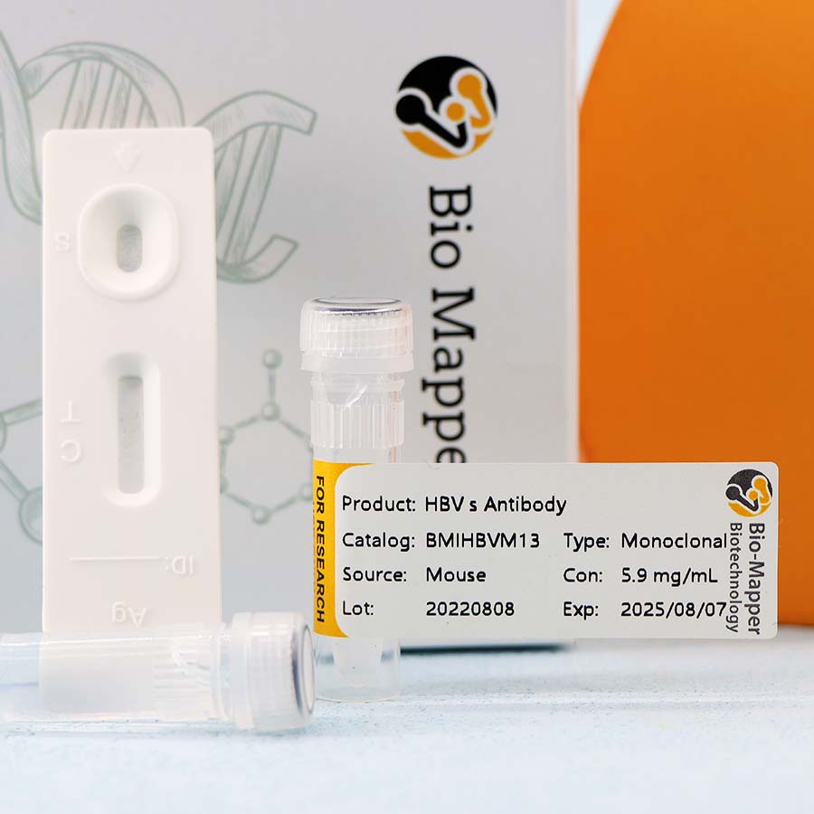 Best Cheap Fiv Antigen Rapid Test Kit Factory - HBV(CMIA) – Bio-mapper