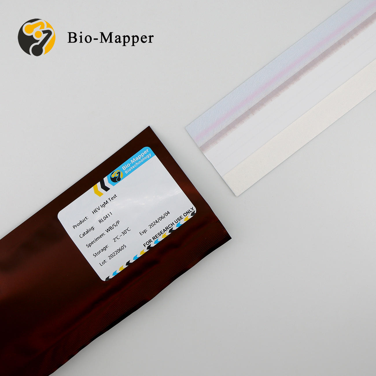 CE Certification Lyme Osp-C Antigen Manufacturer - HEV IgM Test Uncut Sheet – Bio-mapper