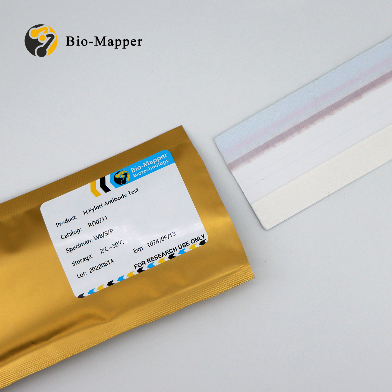 Wholesale  High Quality Mp P1 Antigen Manufacturers - H.Pylori Antibody Test Uncut Sheet – Bio-mapper