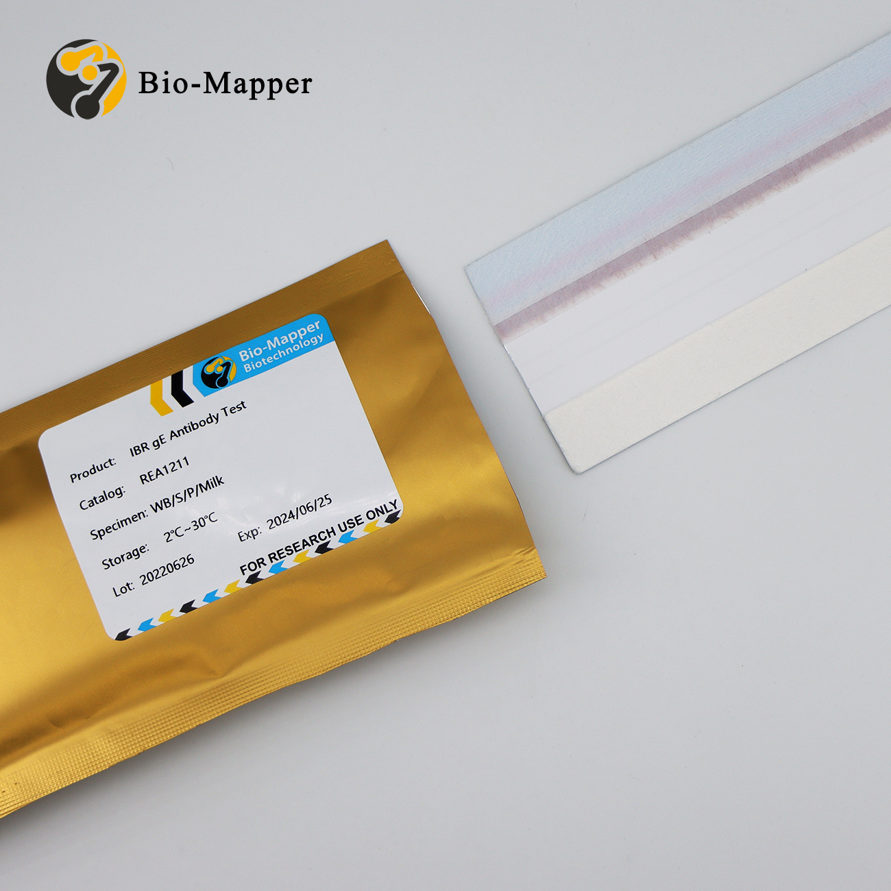 CE Certification Chik Igm Uncut Sheet Manufacturers - IBR gE Antibody Test Uncut Sheet – Bio-mapper