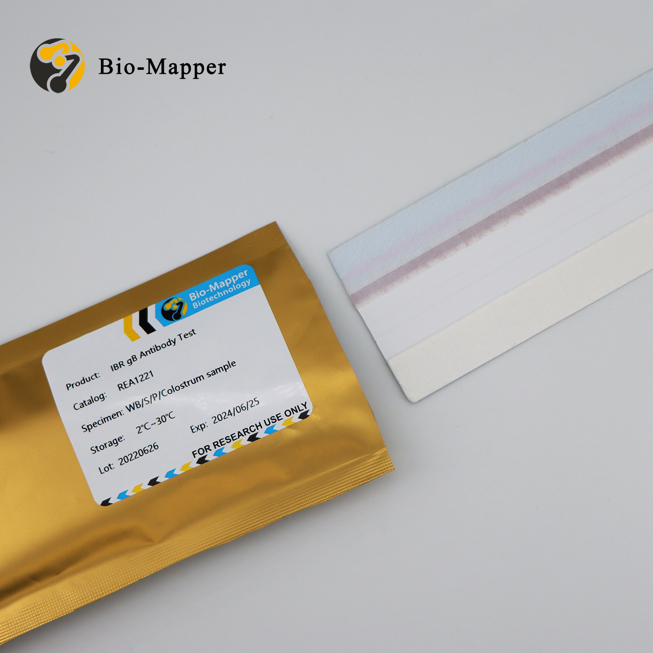 Wholesale  High Quality Chlamydia Antigen Uncut Sheet Factory - IBR gB Antibody Test Uncut Sheet – Bio-mapper