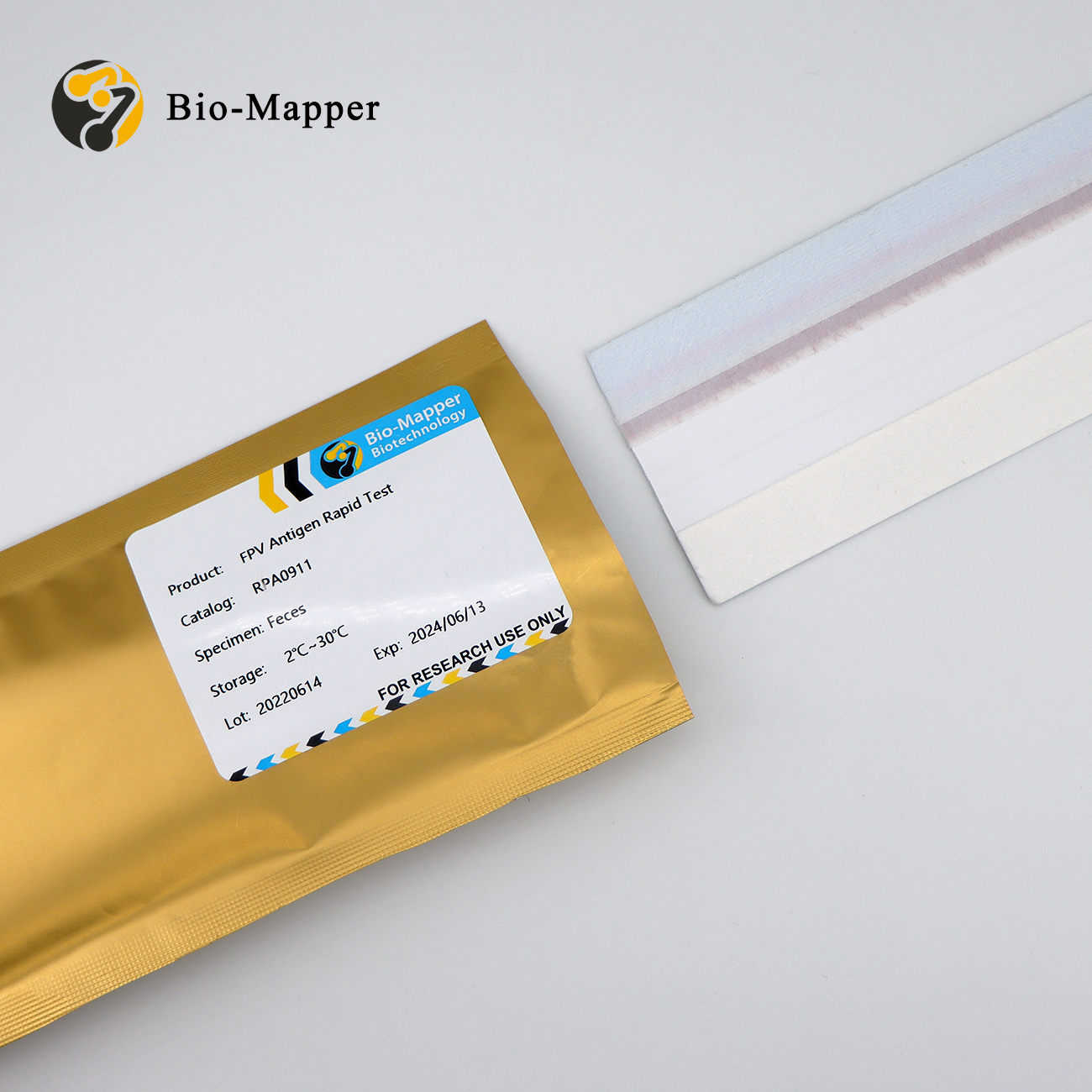 Best Cheap Bvdv Gd Antigen Manufacturer - FPV Antigen Rapid Test Uncut Sheet – Bio-mapper