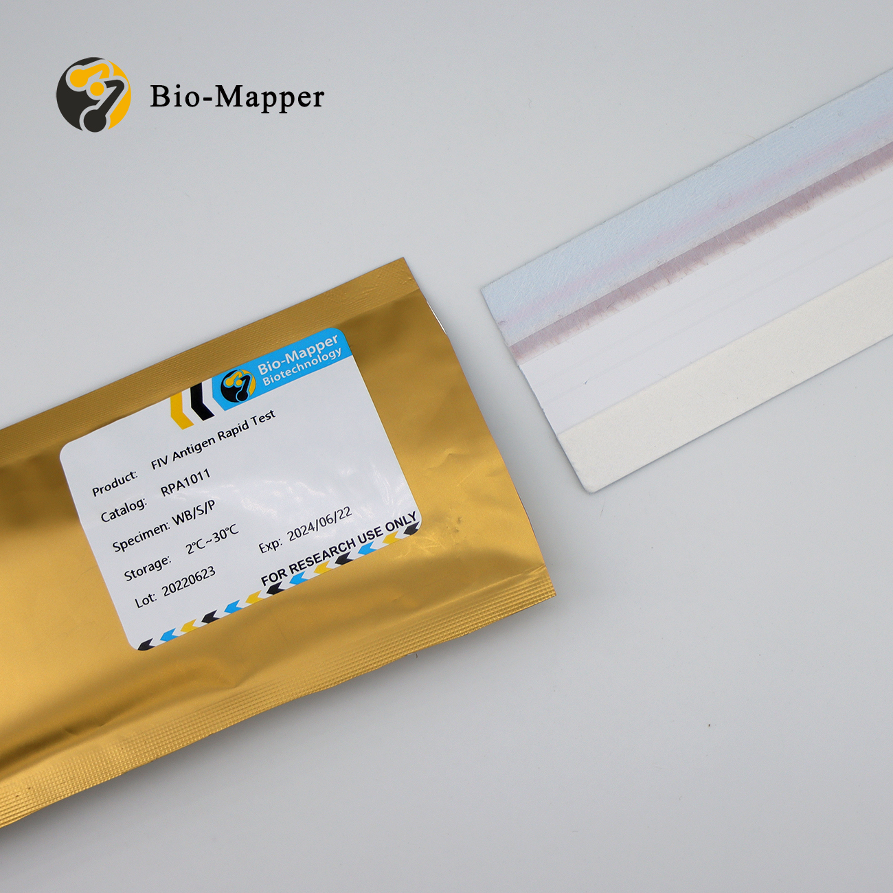 Buy Discount Influenza B Antigen Exporter - FIV Antigen Rapid Test – Bio-mapper