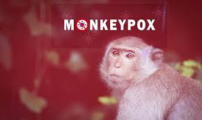 “NEW | Monkeypox Virus Antigen Test Uncut Sheet Launched”