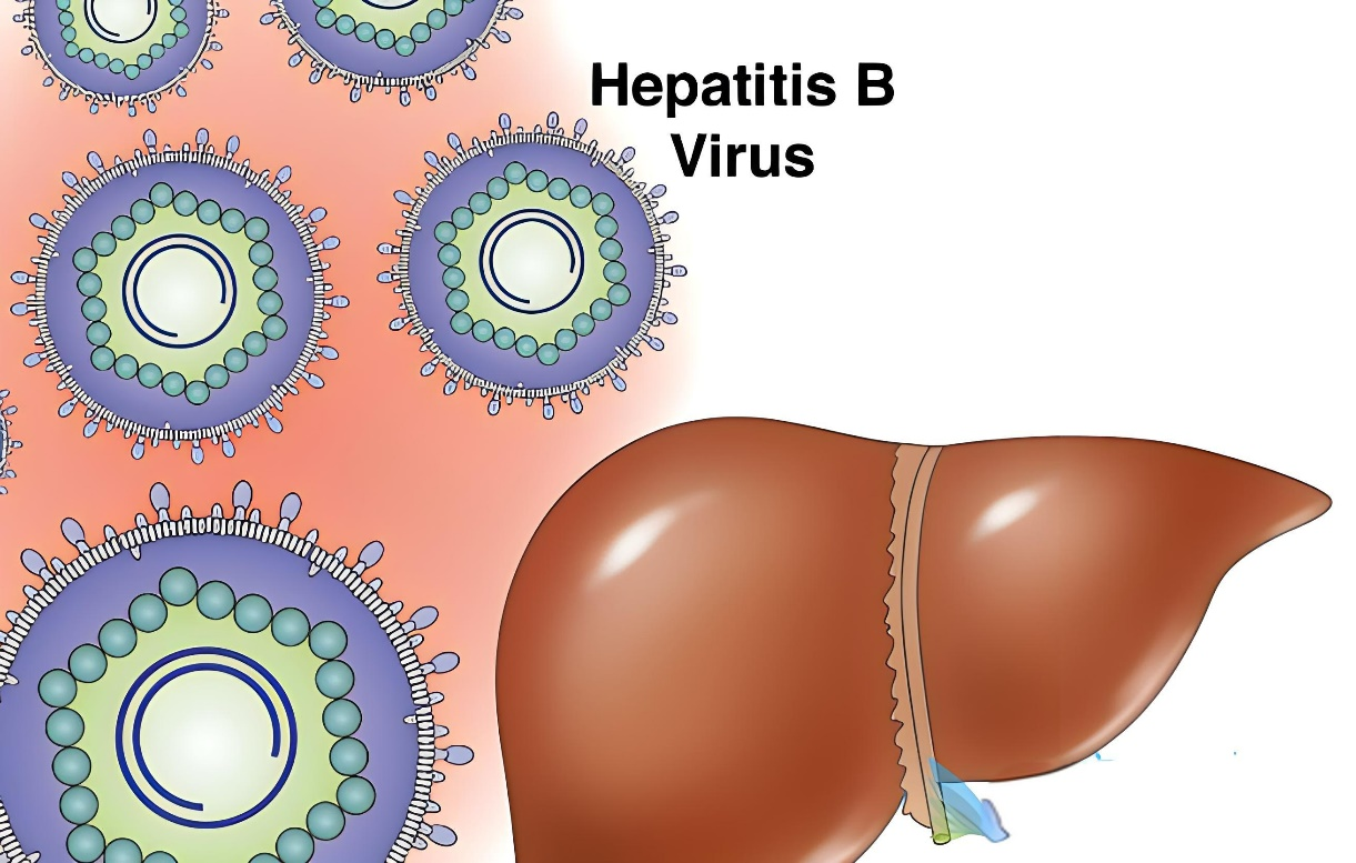 Focus on hepatitis B and health
