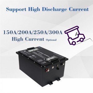 Customizable batteries 51.2v LiFePO4 battery for golf cart, vehicle 48v