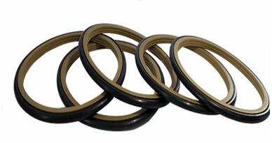 The difference between  Glyd ring and  Step Seal