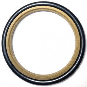 Rod Piston Seal Glyd Ring HBTS STEP SEAL NBR + PTFE