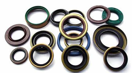 Comprehensive guide for selecting high-quality oil seals