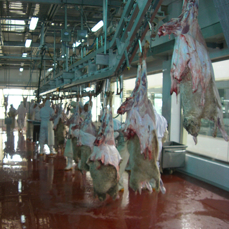 Fabricante de equipos de sacrificio de China / Sacrificio halal de ganado y aves de corral